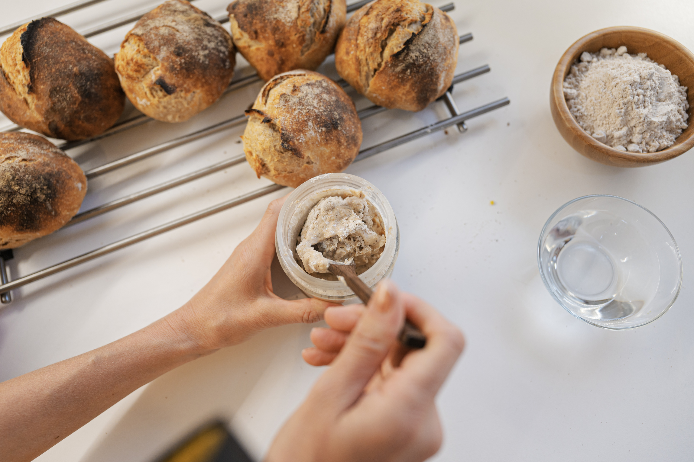 Hands Adding Flour to Sourdough Starter Beside Baked Sourdough Bread